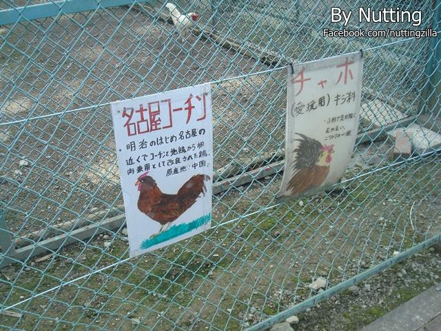 DSC04013.JPG
